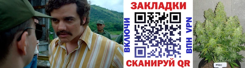 Виды наркотиков купить Орлов Codein  Cocaine  Амфетамин  ГАШ  МАРИХУАНА 