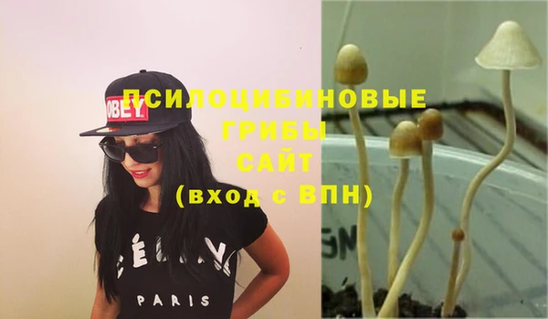 синтетический гашиш Алексеевка