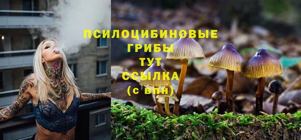 винт Алзамай