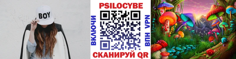 Галлюциногенные грибы Psilocybe  купить наркотики цена  Орлов 